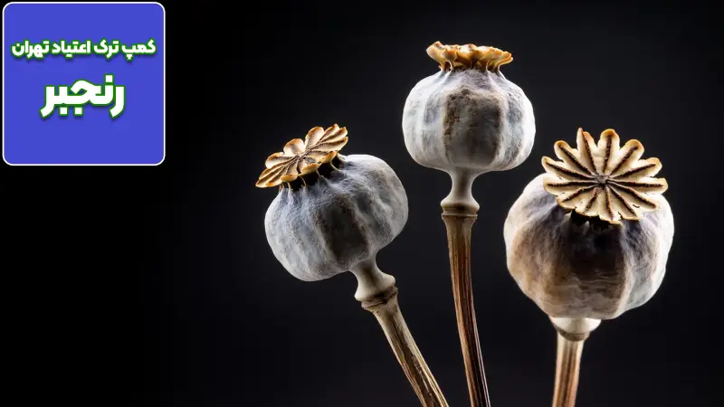 کمپ ترک اعتیاد رنجبر آغاز دوباره ای برای زندگی شما