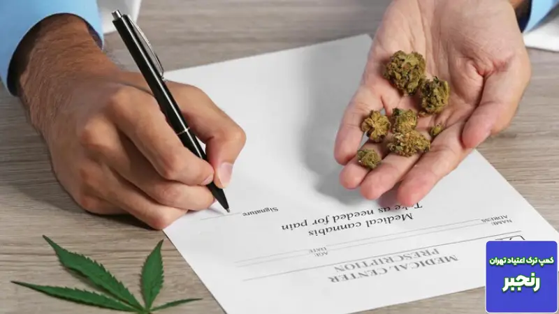 راهنمای جامع آشنایی با کانابیس (حشیش): از تاریخچه و ترکیبات تا اثرات درمانی و عوارض 3 مزایای پزشکی و درمانی