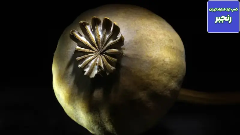 عوارض ترک تریاک چند روز طول میکشد؟